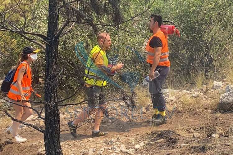 Furkan Kızılay Yangın Bölgesinde